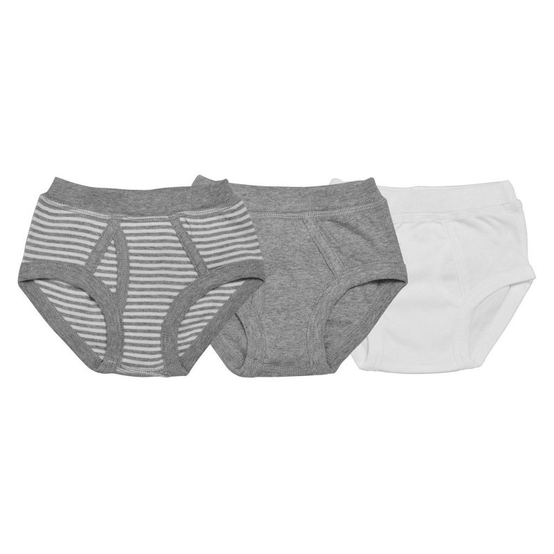 Burt's Bees Baby Toddler Boys' Boxers 4T/5T, 1 of 2