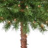 Puleo 5' Pre-Lit Artificial Palm Tree with 150 Multi-Color Lights - 2 of 4