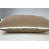 Velvet Flange Throw Pillow - Pillow Perfect - 2 of 2