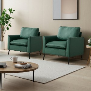 Cat Paw Leather 2-Piece Retro Armchair Set with Pillows - 1 of 4