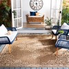 Beach House BHS180 POWER LOOMED Rug - Safavieh - 2 of 4