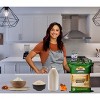 Seeraga Samba Indian Rice 64oz (4lbs) 1.81kg - Rani Brand Authentic Indian Products - 2 of 4