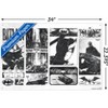 Trends International DC Comics Batman: 85th Anniversary - Sketches Unframed Wall Poster Prints - 3 of 4