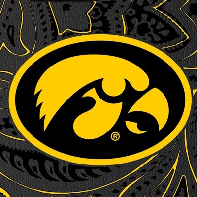 iowa hawkeyes