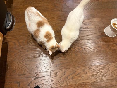 Guest review image 3 of 3, zoom in