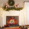 Medium Indoor/Outdoor Birch Tree with 400 Warm White Lights - 5'H White - 4 of 4