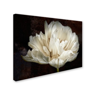 Cora Niele 'Double White Tulip' Canvas Art