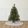 Northlight 3' Pre-Lit Kingston Cashmere Pine Full Artificial Christmas Tree, Multi Lights - 2 of 4