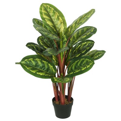 Vickerman 3' Artificial Green and Brown Peacock Plant, botanical name Calathea.