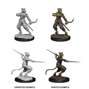 Dungeons & Dragons Nolzur's Marvelous Miniatures - Tabaxi Male Rogue - 1 of 1