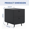Modern Night Stand with 2 Drawers and Circular Handles - Steel Bedside Table Cabinet for Living Room, Bedroom, and Study Room - 2 of 4
