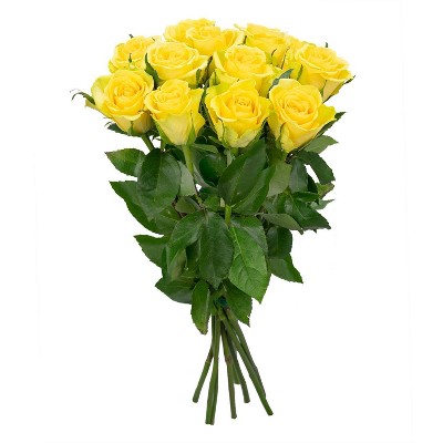 Dozen Fresh Cut Yellow Roses - Spritz™