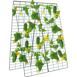 Garden Arch Trellis for Climbing Plants Outdoor Garden Arch Arbor Tunnel Trelli Metal Frame Trelli Support Vegetables Trellis for Raised Bed, 4x4FT - 1 of 4