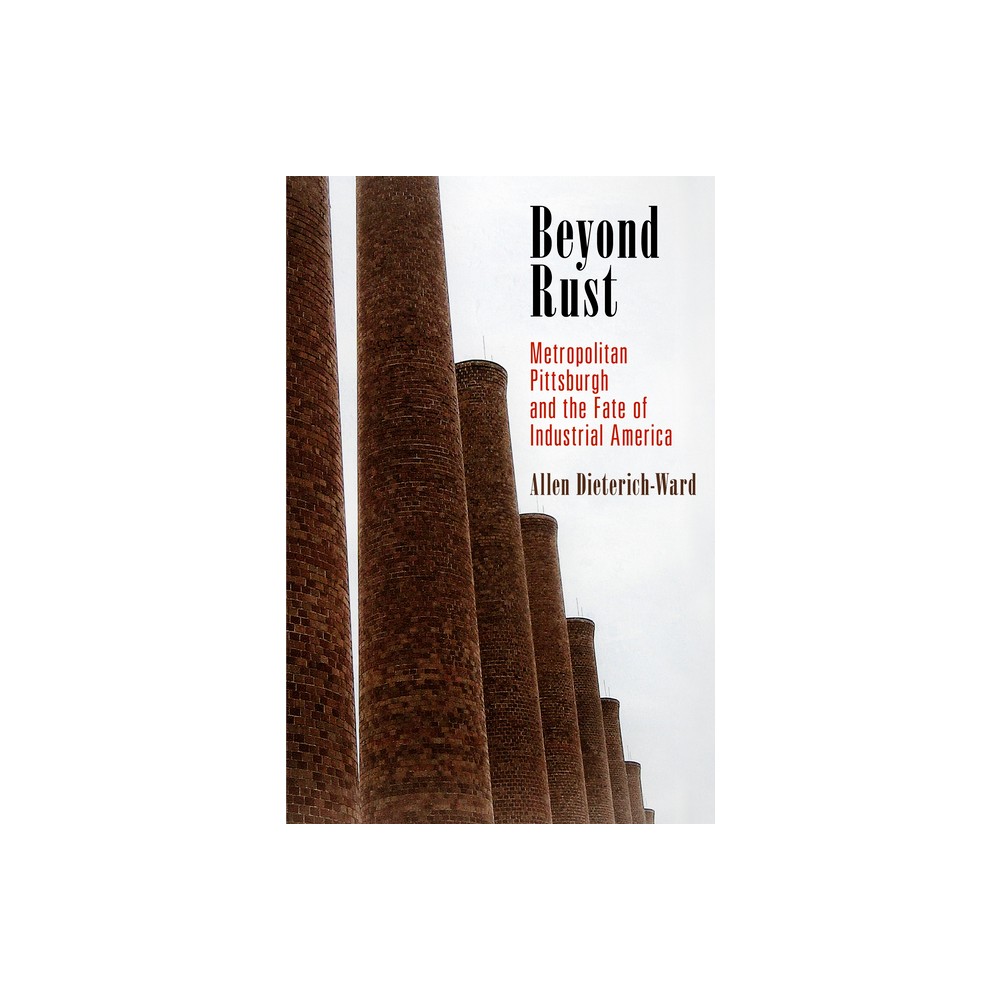 Beyond Rust - (Politics and Culture in Modern America) by Allen Dieterich-Ward (Paperback)