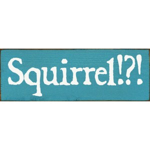Slickblue Squirrel!? Text Sign, 3.5x10 Rustic Pine Wood Plaque, Hanging or Shelf Decor Sign, Multiple Colors - 1 of 3