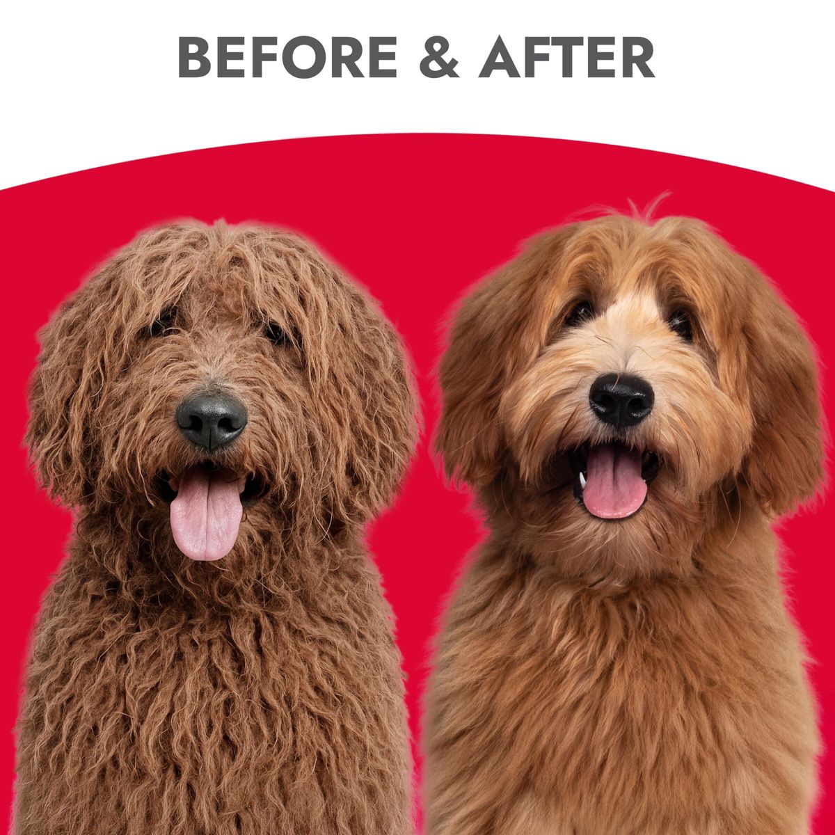 KONG Detangler Spray Fruit and Cucumber Scented Dog Conditioner - 16 fl oz - thumbnail 5