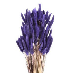 Unique Bargains Decorative Natural Dried Floral Bunny Tail Artificial Plants 120 Pcs - 1 of 4