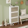 SKRAN Modern Rattan Shoe Storage Cabinet: 3-Door Freestanding Organizer - Rattan & Metal Frame with Anti-Slip Pads - Double Shelf Design - 2 of 4