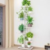 Plant Stand Indoor, 7-Layer 8 Potted Plant Shelf, Flower Rack With Metal, Plants Holders for Patio Gardens Bedroom Corner Living Room Balcony - 2 of 4