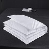 Aghana Digitals Goose Feather Bed Pillow, Standard/Queen Size, 100% Cotton Cover - 2 of 4