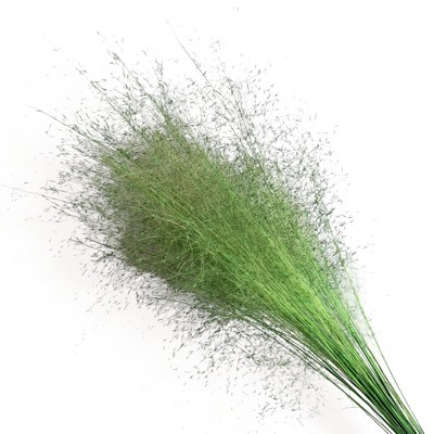 Alilang Decorative Dried Wispy Grass Stems for Home Decoration and Floral Arrangements, 17 Inches