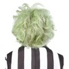 Rubies Men's Beetlejuice Beetlejuice Wig- One Size Fits Most - 3 of 4