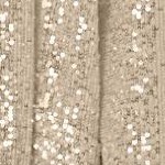 sparkling champagne