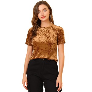 INSPIRE CHIC Women's Velvet Crew Neck Short Sleeve Casual Blouse - 1 of 4
