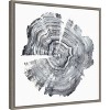 Amanti Art Tree Ring Abstract IV by Ethan Harper Canvas Wall Art Print Framed 22 x 22-in. - 3 of 4
