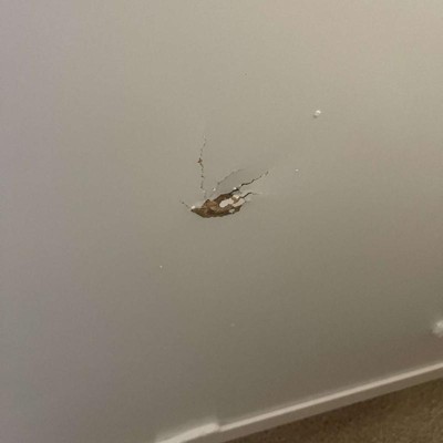 Guest review image 2 of 2, zoom in