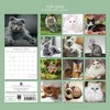 2026 Square Wall Calendar, Top Cats, 16-Month Animals Theme with 180 Reminder Stickers (12x12 In) - 4 of 4