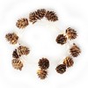 Perfect Holiday 15 LED Pine Cone String Light Battery Operated - Warm White - 2 of 4