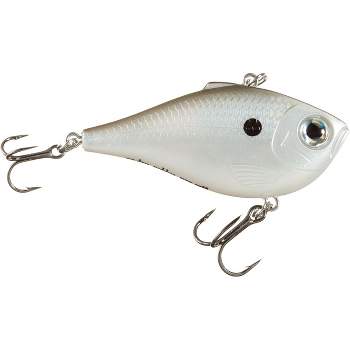  Rapala Shad Rap Rattlin' Suspending 05 Fishing lure, 2-Inch,  Silver Blue : Fishing Bait Traps : Sports & Outdoors