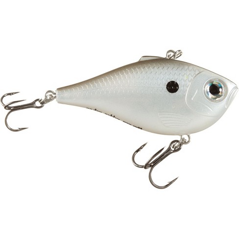 Rattlin' Rapala 05 Holographic Blue Shad : : Sports & Outdoors