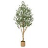 Orieon 7ft Artificial Olive Tree with Planter, Realistic Faux Indoor Olive Plant with Natural Wood Trunk for Home & Office Décor - 2 of 4