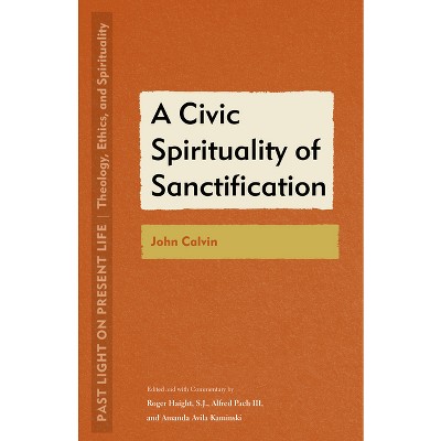 A Civic Spirituality of Sanctification - (Past Light on Present Life: Theology, Ethics, and Spirituality) (Paperback)