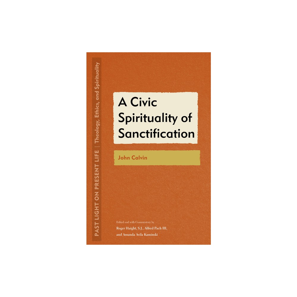 A Civic Spirituality of Sanctification - (Past Light on Present Life: Theology, Ethics, and Spirituality) (Paperback)