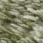 ivory, off white, olive, mustard