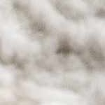 ivory, off white, olive, mustard