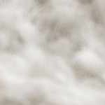 ivory, off white, olive, mustard