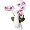 Dahlia Studios Potted Faux Artificial Flowers Realistic Pink White Phalaenopsis Orchid in Pot Home Decoration Living Room 13" High - 3 of 4