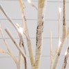 Nearly Natural 4-ft Pre-Lit Artificial Birch Tree with 50 Warm White LED Lights - 3 of 4
