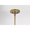 Nuvo Lighting Adina 1 - Light Pendant in  Natural Brass - 4 of 4