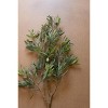 Artificial Olive Branch – 32" Tall Faux Greenery Stem by Kalalou - 3 of 3