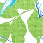 blue fern