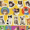 Eureka® Motivational Cats, 120 Per Pack, 12 Packs - 3 of 3