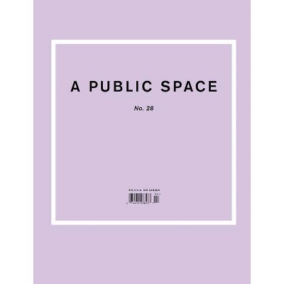 A Public Space No. 28 - by  Brigid Hughes (Paperback)