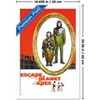 Trends International Escape from the Planet of the Apes (1971) - Portrait One Sheet Framed Wall Poster Prints - 3 of 4