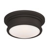 Livex Lighting Astor 2 - Light Flush Mount in  Bronze - 4 of 4