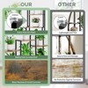 ORRD 64" 8-Tier Indoor Plant Stand with Grow Light, Metal Plant Shelf - 3 of 4
